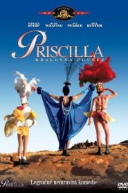 The Adventures of Priscilla Queen of the Desert (1994) ผู้ชายอะเฮ้ว!หน้าแรก ดูหนังออนไลน์ รักโรแมนติก ดราม่า หนังชีวิต