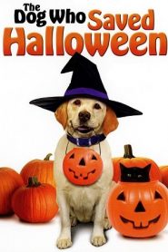 The Dog Who Saved Halloween (2011) บิ๊กโฮ่ง ซูเปอร์หมา ป่วนฮาโลวีนหน้าแรก ดูหนังออนไลน์ ตลกคอมเมดี้