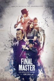 The Final Master (2015) พยัคฆ์โค่นมังกรหน้าแรก ภาพยนตร์แอ็คชั่น