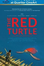 The Red Turtle (2016) เต่าแดงหน้าแรก ดูหนังออนไลน์ Soundtrack ซับไทย