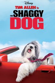The Shaggy Dog (2006) คุณพ่อพันธุ์โฮ่งหน้าแรก ดูหนังออนไลน์ Soundtrack ซับไทย