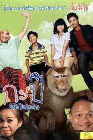 Kapi (2010) กะปิ ลิงจ๋อไม่หลอกจ้าวหน้าแรก ดูหนังออนไลน์ ตลกคอมเมดี้