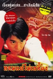 Legend of the Dragon (1990) กลมแต่ไม่เกลี้ยงหน้าแรก ภาพยนตร์แอ็คชั่น
