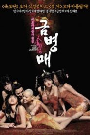 The Forbidden Legend Sex AND Chopsticks II (2009) บทรักอมตะ 2หน้าแรก ดูหนังออนไลน์ 18+ HD ฟรี
