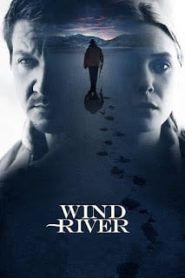 Wind River (2017) ล่าเดือด เลือดเย็นหน้าแรก ดูหนังออนไลน์ หนังผี หนังสยองขวัญ HD ฟรี