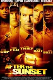 After the Sunset (2004) พยัคฆ์โคตรเพชรหน้าแรก ภาพยนตร์แอ็คชั่น