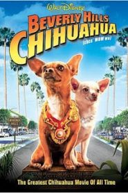Beverly Hills Chihuahua 1 (2008) คุณหมาไฮโซ โกบ้านนอก ภาค 1หน้าแรก ดูหนังออนไลน์ ตลกคอมเมดี้