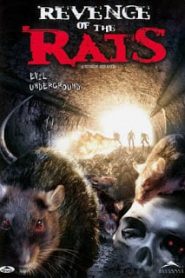 Rats (2001) ฝูงหนูนรกหน้าแรก ดูหนังออนไลน์ หนังผี หนังสยองขวัญ HD ฟรี
