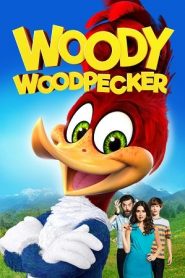 Woody Woodpecker (2017) วูดี้ เจ้านกหัวขวานจอมซ่าหน้าแรก ดูหนังออนไลน์ Soundtrack ซับไทย