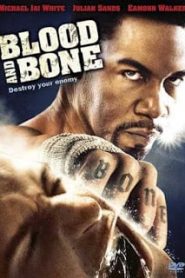 Blood and Bone (2009) โคตรคนกำปั้นสั่งตายหน้าแรก ดูหนังออนไลน์ ต่อยมวย HD ฟรี