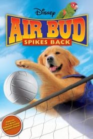 Air Bud 5 (2003) ซุปเปอร์หมา ตบสะท้านคอร์ดหน้าแรก ดูหนังออนไลน์ ตลกคอมเมดี้