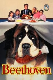 Beethoven (1992) บีโธเฟ่น ชื่อหมาแต่ไม่ใช่หมา ภาค 1หน้าแรก ดูหนังออนไลน์ รักโรแมนติก ดราม่า หนังชีวิต