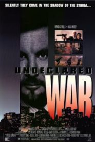 Undeclared War (1990) สงครามเงียบเก็บเจ้าพ่อหน้าแรก ภาพยนตร์แอ็คชั่น
