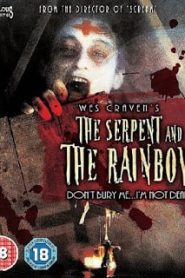The Serpent and the Rainbow (1988) อาถรรพ์ ผงกระตุกวิญญาณหน้าแรก ดูหนังออนไลน์ หนังผี หนังสยองขวัญ HD ฟรี