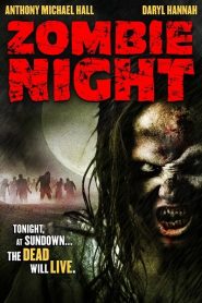 Zombie Night (2013) ซากนรกคืนสยองหน้าแรก ดูหนังออนไลน์ หนังผี หนังสยองขวัญ HD ฟรี