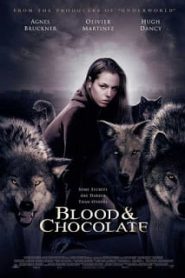 Blood and Chocolate (2007) เจ้าสาวพันธุ์อสูรหน้าแรก ดูหนังออนไลน์ แฟนตาซี Sci-Fi วิทยาศาสตร์