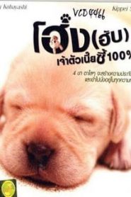 Quill: The Life of a Guide Dog (2004) โฮ่งฮับ เจ้าตัวเนี้ยซี้ร้อยเปอร์เซ็นต์หน้าแรก ดูหนังออนไลน์ รักโรแมนติก ดราม่า หนังชีวิต