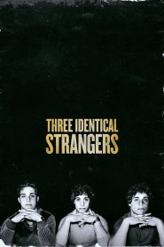 Three Identical Strangers (2018) สามคน เหมือนกันหน้าแรก ดูหนังออนไลน์ รักโรแมนติก ดราม่า หนังชีวิต