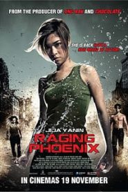 Raging Phoenix (2009) จีจ้า ดื้อสวยดุหน้าแรก ภาพยนตร์แอ็คชั่น
