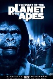 Conquest of the Planet of the Apes (1972) มนุษย์วานรตลุยพิภพหน้าแรก ดูหนังออนไลน์ แฟนตาซี Sci-Fi วิทยาศาสตร์