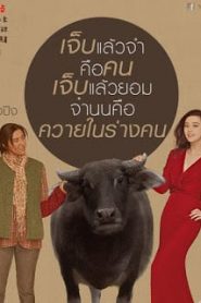 I Am Not Madame Bovary (Wo bu shi Pan Jin Lian) (2016) อย่าคิดหลอกเจ้หน้าแรก ดูหนังออนไลน์ รักโรแมนติก ดราม่า หนังชีวิต