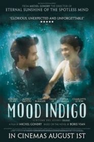 Mood Indigo (2013) รักนี้มหัศจรรย์หน้าแรก ดูหนังออนไลน์ รักโรแมนติก ดราม่า หนังชีวิต