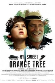 My Sweet Orange Tree (2012) ต้นส้มแสนรักหน้าแรก ดูหนังออนไลน์ รักโรแมนติก ดราม่า หนังชีวิต