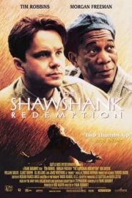 The Shawshank Redemption (1994) ชอว์แชงค์ มิตรภาพ ความหวัง ความรุนแรงหน้าแรก ดูหนังออนไลน์ รักโรแมนติก ดราม่า หนังชีวิต