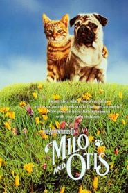 The Adventures of Milo and Otis (1986) แมวจ๋าหมาอยู่นี่หน้าแรก ดูหนังออนไลน์ ตลกคอมเมดี้