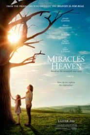 Miracles from Heaven (2016) ปาฏิหาริย์จากสวรรค์ [Soundtrack บรรยายไทย]หน้าแรก ดูหนังออนไลน์ Soundtrack ซับไทย