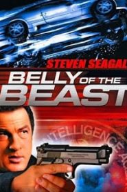 Belly of the Beast (2003) ฝ่าล้อมอันตรายข้ามชาติหน้าแรก ภาพยนตร์แอ็คชั่น