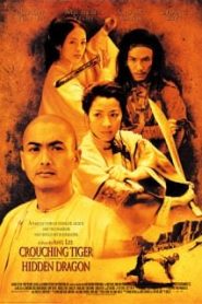 Crouching Tiger, Hidden Dragon (2000) พยัคฆ์ระห่ำ มังกรผยองโลกหน้าแรก ภาพยนตร์แอ็คชั่น