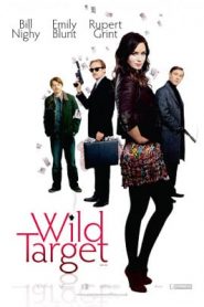 Wild Target (2010) โจรสาวแสบซ่าส์..เจอะนักฆ่ากลับใจหน้าแรก ภาพยนตร์แอ็คชั่น