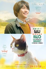 The Travelling Cat Chronicles (2018) ผม แมว และการเดินทางของเราหน้าแรก ดูหนังออนไลน์ รักโรแมนติก ดราม่า หนังชีวิต