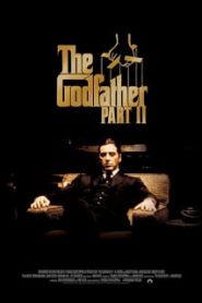 The Godfather: Part II (1974) เดอะ ก็อดฟาเธอร์ ภาค 2หน้าแรก ภาพยนตร์แอ็คชั่น