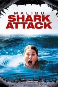 Malibu Shark Attack (2009) โคตรเพชฌฆาต ยกฝูงบุกเมืองหน้าแรก ภาพยนตร์แอ็คชั่น
