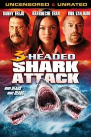 3 Headed Shark Attack (2015) โคตรฉลาม 3 หัวเพชฌฆาตหน้าแรก ภาพยนตร์แอ็คชั่น