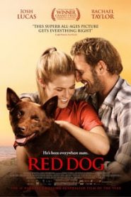 Red Dog (2011) เพื่อนซี้หัวใจหยุดโลกหน้าแรก ดูหนังออนไลน์ รักโรแมนติก ดราม่า หนังชีวิต