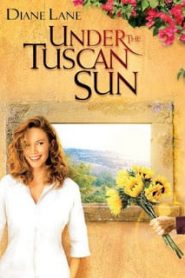 Under the Tuscan Sun (2003) ทัซคานี่…อาบรักแดนสวรรค์หน้าแรก ดูหนังออนไลน์ รักโรแมนติก ดราม่า หนังชีวิต