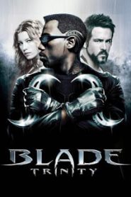 Blade 3: Trinity (2004) อำมหิต พันธุ์อมตะหน้าแรก ดูหนังออนไลน์ แฟนตาซี Sci-Fi วิทยาศาสตร์
