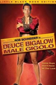 Deuce Bigalow Male Gigolo (1999) ดิวซ์ บิ๊กกะโล่ ไม่หล่อแต่เร้าใจหน้าแรก ดูหนังออนไลน์ ตลกคอมเมดี้