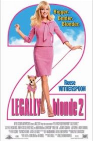 Legally Blonde 2 Red White & Blonde (2003) สาวบลอนด์หัวใจดี๊ด๊า 2หน้าแรก ดูหนังออนไลน์ ตลกคอมเมดี้