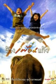 The Elephant Boy (2003) ช้างเพื่อนแก้ว 1หน้าแรก ดูหนังออนไลน์ รักโรแมนติก ดราม่า หนังชีวิต