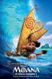 Moana (2016) โมอาน่า ผจญภัยตำนานหมู่เกาะทะเลใต้หน้าแรก ดูหนังออนไลน์ การ์ตูน HD ฟรี