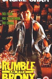Rumble in the Bronx (1995) ใหญ่ฟัดโลกหน้าแรก ภาพยนตร์แอ็คชั่น