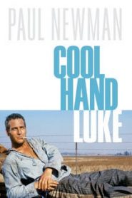 Cool Hand Luke (1967) คนสู้คนหน้าแรก ภาพยนตร์แอ็คชั่น