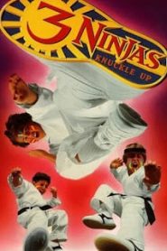 3 Ninjas Knuckle Up (1995) นินจิ๋ว นินจา นินแจ๋ว ภาค 3หน้าแรก ดูหนังออนไลน์ แฟนตาซี Sci-Fi วิทยาศาสตร์