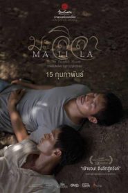 มะลิลา (2017) Malila The Farewell Flowerหน้าแรก ดูหนังออนไลน์ รักโรแมนติก ดราม่า หนังชีวิต